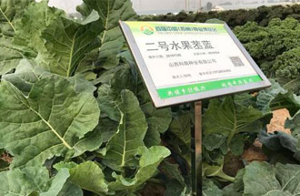 10月23日，中國（鄭州）種業博覽會將在河南省鄭州市中牟縣官渡鎮鄉謠農場舉辦